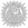 My Cat Mandala Coloring Book-Softcover - 5A0027F1-1G9QV My Cat Mandala Coloring Book-Softcover - 5A0027F1-1G9QV