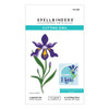 Spellbinders Etched Dies By Lisa Horton-Layered Iris, Spotlight Frames & Florals - 5A0028LP-1GBN4 - 810146544067