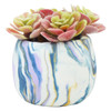 Sculpey III Oven Bake Clay Kit-Succulent Pots, Makes 2 - 5A0023F9-1G6FX