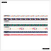 2 Pack Happy Planner Washi Tape-Nordic Brights SWRH7010