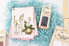 American Crafts Handmade Paper Mold And Deckle Kit-Small Rectangle - 34017563