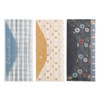 Happy Planner Envelope 3/Pkg-Hpg Homesteader AF2PE322