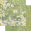 Nature's Garden Double-Sided Paper Pad 6"X6" 36/Pkg-Delightful Daisies DDPAD6