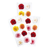 Paper House Decorative Stickers-Mini Mixed Roses - ST2363E