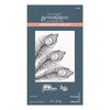 Spellbinders BetterPress Press Plate & Die Set By Dawn Bibby-Fabulous Feathers 5A002C89-1GFS1 - 810146545811