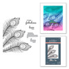 Spellbinders BetterPress Press Plate & Die Set By Dawn Bibby-Fabulous Feathers 5A002C89-1GFS1