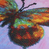Camelot Dots Diamond Art Kit 11.8"X11.8"-Pretty Butterfly 5A002CPW-1GG8Z