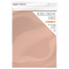 3 Pack - Craft Perfect Pearlescent Cardstock 8.5"X11" 5/Pkg-Blushing Pink - PEARL-9533 - 818569025330
