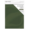 Craft Perfect Weave Textured Classic Card 8.5"X11" 10/Pkg-Avocado Green - CARD 8-9638 - 818569026382