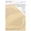 Craft Perfect Pearlescent Cardstock 8.5"X11" 5/Pkg-Ivory Sheen - PEARL-9542 - 5060517145125