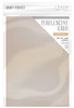 Craft Perfect Pearlescent Cardstock 8.5"X11" 5/Pkg-Coffee Cream - PEARL-9549 - 818569025491 Craft Perfect Pearlescent Cardstock 8.5"X11" 5/Pkg-Coffee Cream - PEARL-9549 - 818569025491