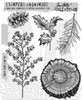 Tim Holtz Cling Stamps 7"X8.5"-Forest Floor 2 - CMS-1GHTZ
