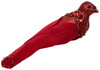 Craft D?cor Essentials Cardinal W/Gator Clip 6.3" 1/Pkg -Glitter Red - 5A002LV6-1GNJF
