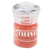 4 Pack - Nuvo Embossing Powder .74oz-Coral Chic - NEP-627 - 841686106279