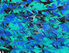 3 Pack DecoArt Water Marbling Paint 2oz-Black DWMP-01