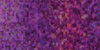 6 Pack - DecoArt Glamour Dust Glitter Paint 2oz-Magenta - DGD-16