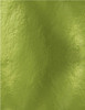 Craft Perfect Mirror Cardstock 8.5"X11" 5/Pkg-High Gloss Holly Green - MIRRORG-9461E - 5060517144616