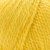 3 Pack - Premier Elle By Me Charlotte Solids Yarn-Sunny - 5A002W76-1GWXD