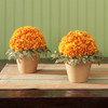 4 Pack - FloraCraft FloraFM Half Ball-2.8"X5.8" - 5A002WLR-1GXDN