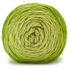 3 Pack - Premier Anti-Pilling Everyday Worsted Gradient Yarn-Green Tones - 5A002WML-1GXFV