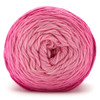 Premier Anti-Pilling Everyday Worsted Gradient Yarn-Pink Tones - 5A002WML-1GXG0