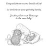 House Mouse Cling Rubber Stamp-Bundle Of Joy - 5A002XDX-1GYCR