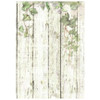 Stamperia Rice Paper Backgrounds A6 8/Pkg -House of Roses - 5A002WFR-1GX7V