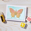 Hero Arts Hot Foil Plate & Die Set-Butterfly 5A002Y18-1GYZD