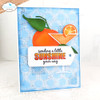Elizabeth Craft Metal Dies-Fresh Fruit 5A002Y1Y-1GYZW