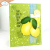 Elizabeth Craft Metal Dies-Fresh Fruit 5A002Y1Y-1GYZW