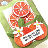 Elizabeth Craft Metal Dies-Fresh Fruit 5A002Y1Y-1GYZW