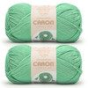 2 Pack - Caron Simply Me Yarn-Malachite - 5A002X8W-1GY9L