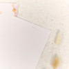 Happy Planner Classic Fill Paper-Shell Yeah 5A002X6K-1GY3D