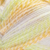 Bernat Sport Ombre Twist Yarn-Melon - 5A002Z42-1H17Y