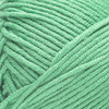 Caron Simply Me Yarn-Malachite - 5A002X8W-1GY9L