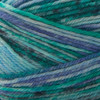 Premier Yarns Sock Kits-Prep School - 5A0031NX-1H37L