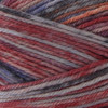 Premier Yarns Sock Kits-It's A Mood - 5A0031NX-1H37Z