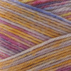 Premier Yarns Sock Kits-Insomniac - 5A0031NX-1H37N