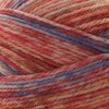 Premier Yarns Sock Kits-Take a Hike - 5A0031NX-1H382