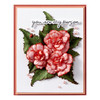 Spellbinders Etched Dies By Susan Tierney-Cockburn-Begonia And Ladybugs 5A0031V8-1H3H4