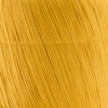 Premier Yarn Raffia -Golden - 5A0032D9-1H422