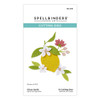 Spellbinders Etched Die From La Dolce Vita-Citrus Spritz - 5A0032LM-1H4B4 - 810176103852