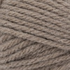 3 Pack - Lion Brand Hue & Me Yarn-Warm Stone - 617-1GHPG