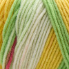 Premier Basix Trendy Yarn-Watermelon - 5A0034GQ-1H64G
