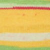 3 Pack - Premier Basix Trendy Yarn-Watermelon - 5A0034GQ-1H64G