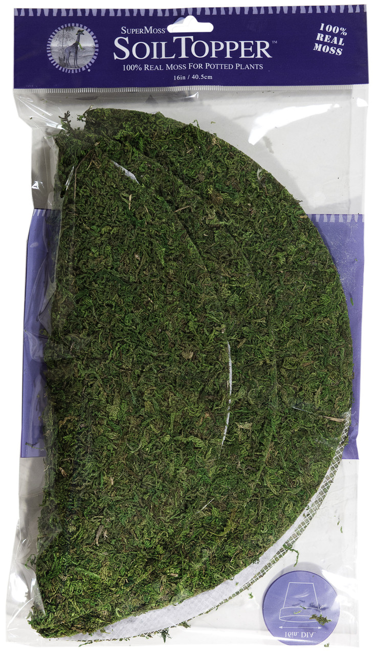 Super Moss Moss Pot Toppers 10 3/Pkg-Green - 759834263104