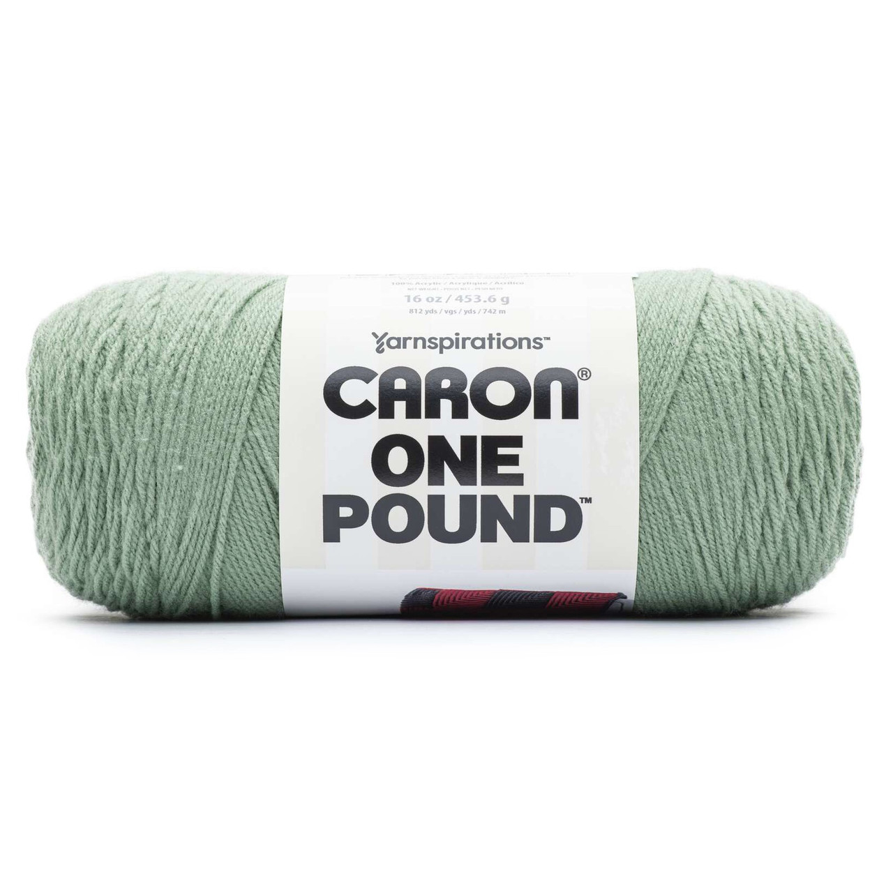 2 Pack Caron One Pound Yarn-Succulent 294010-10655 - GettyCrafts