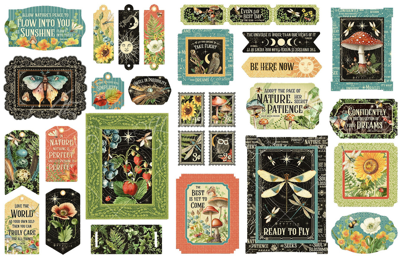 Graphic 45 Ephemera Die-Cut Assortment Life Is Abundant