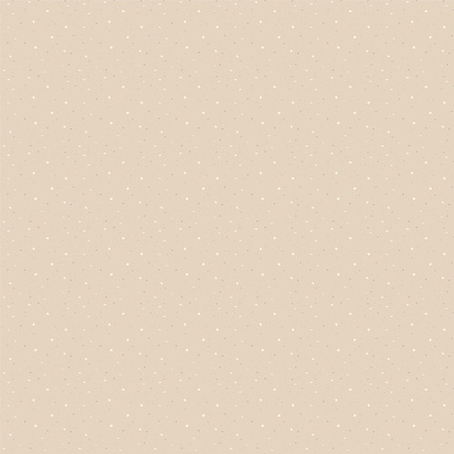 25 Pack - Silent Night Double-Sided Cardstock 12"X12"-Nativity - 5A0034MF-1H698 25 Pack - Silent Night Double-Sided Cardstock 12"X12"-Nativity - 5A0034MF-1H698