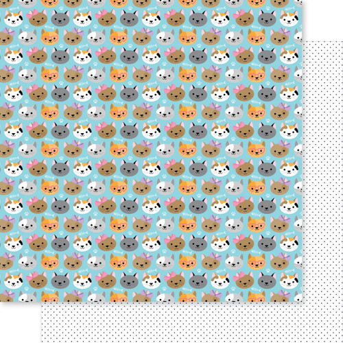 25 Pack - Bella Blvd Meow Double-Sided Cardstock 12"X12"-That Face - 5A002Y09-1GYW6 - 810176550946